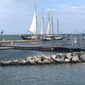 Meet your Posher, Daryl